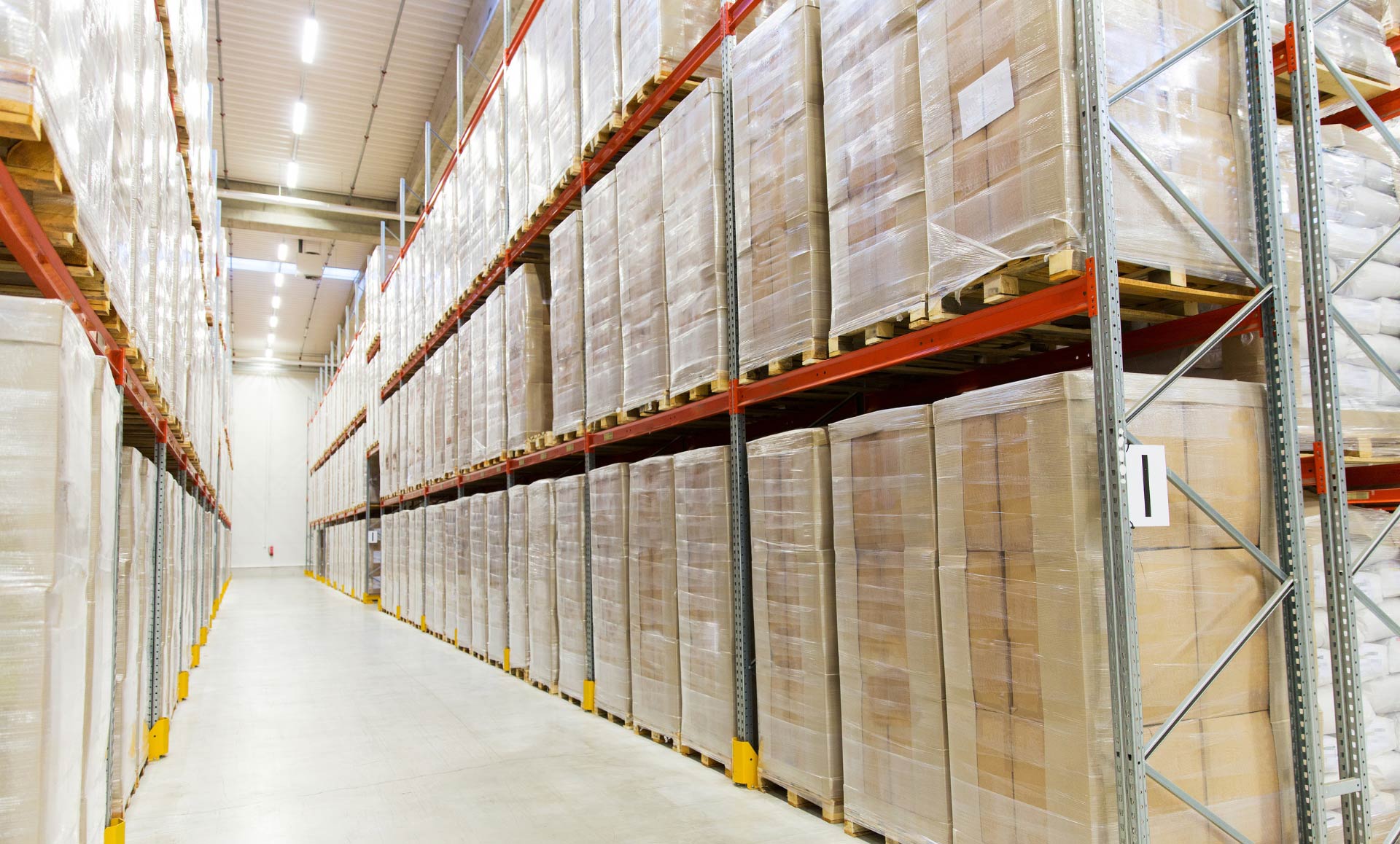 Experience the BAGYA INTERNATIONAL SHIPPING Advantage